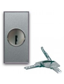 443071-SCHALTER SCHLÜSSEL-2P 10AX ALUMINIUM 1M