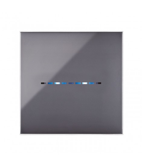 PLATE YOUNGTOUCH ASH 2COM