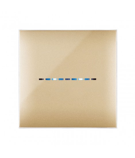 YOUNGTOUCH GOLD 2COM PLATE