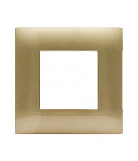 PLACCA YOUNG44 ORO 2M