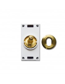 2CH BUS CONTROL - BRASS LEVER