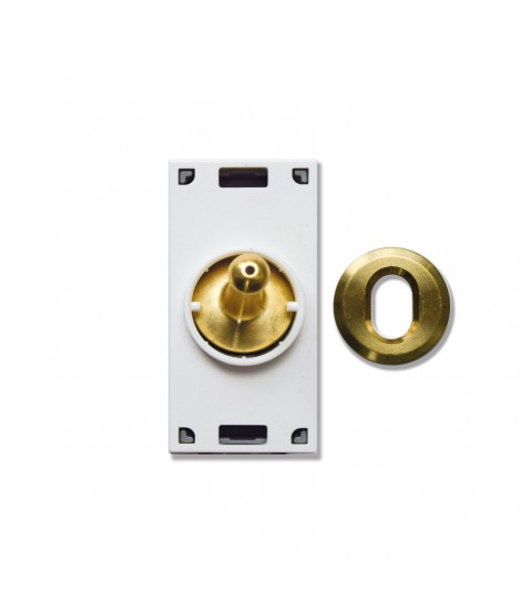 2CH BUS CONTROL - BRASS LEVER