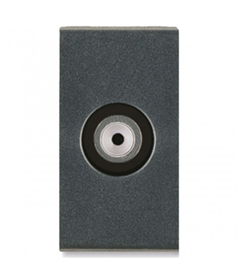 COASS SOCKET. FEMM function F INGRES. F NOIR