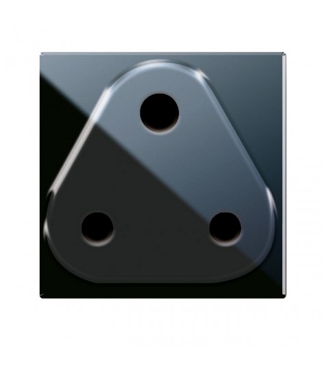 BUCHSE ENGLISCH BS546 5A LIFE-2M