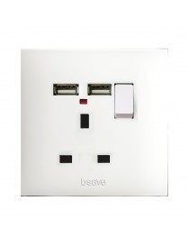 STD SOCKET. INGL.+INT+N+USB 13A 2P 2M