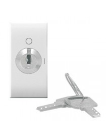 441071-SCHALTER SCHLÜSSEL-2P 10AX DOMUS 1M