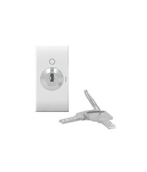 441071-SCHALTER SCHLÜSSEL-2P 10AX DOMUS 1M