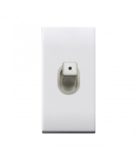 SWITCH LEV. 2P 20AX DOMUS 1M