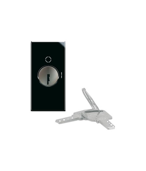 SWITCH. KEY 2P 10AX LIFE 1M