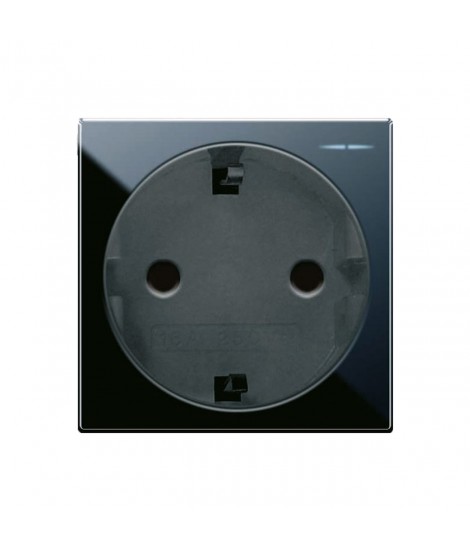 SCHUKO SOCKET 2P+T 16A 250V LIFE 2M