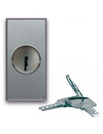 SWITCH. KEY 2P 10AX ALLU 1M