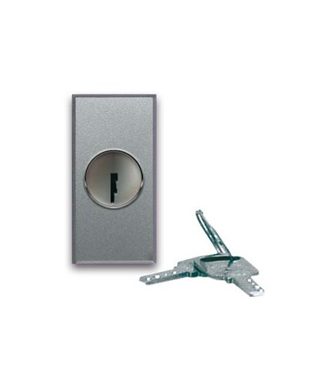 INTERRUTT. CHIAVE 2P 10AX ALLUM 1M