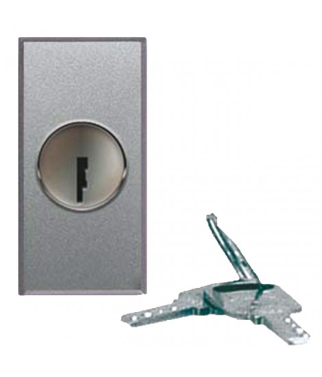 KEY BUTTON 2P NA 10A ALLU 1M