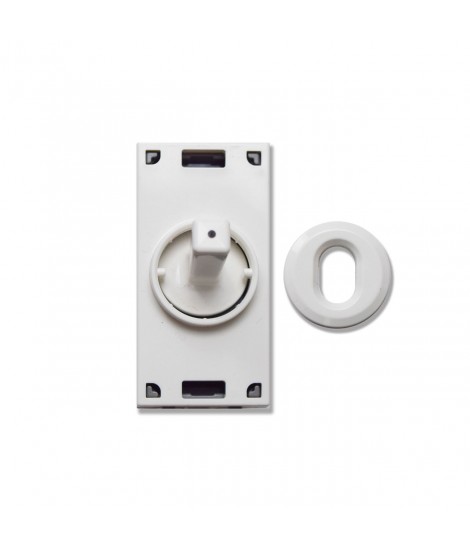 2CH BUSSTEUERUNG - WHITE LEVER